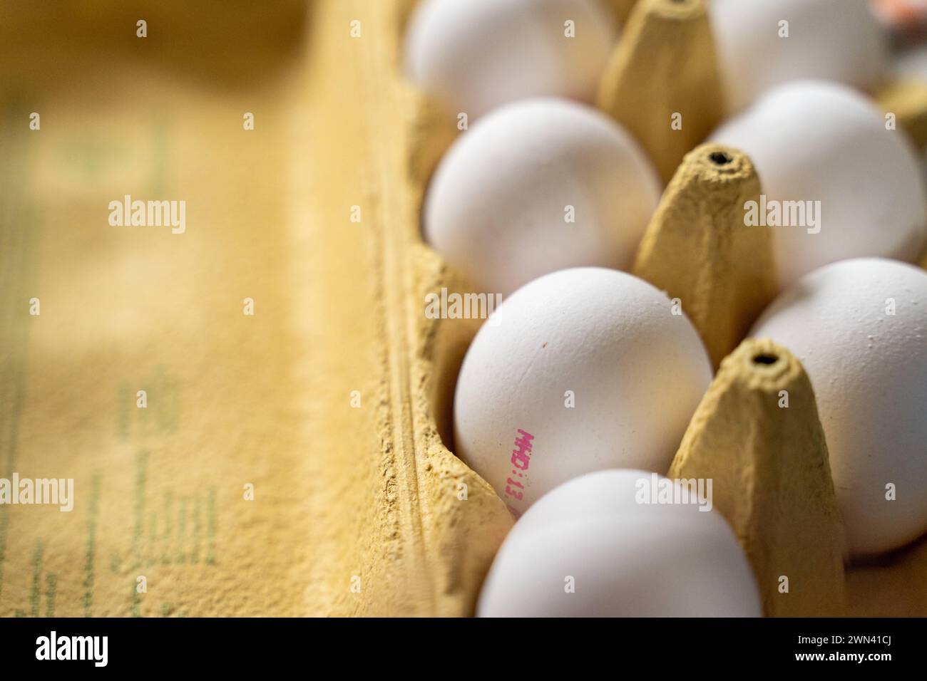 Augusta, Baviera, Germania - 28 febbraio 2024: Uova bianche in una scatola di uova. Uova di pollo *** Weiße Eier in einem Eierkarton. Hühnereier Foto Stock