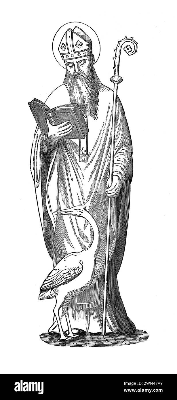 Sant'agricola di Avignone con il suo attributo di cicogna: Incisione da vite dei Santi del reverendo Sabin Baring-Gould, pubblicato nel 1898 Foto Stock