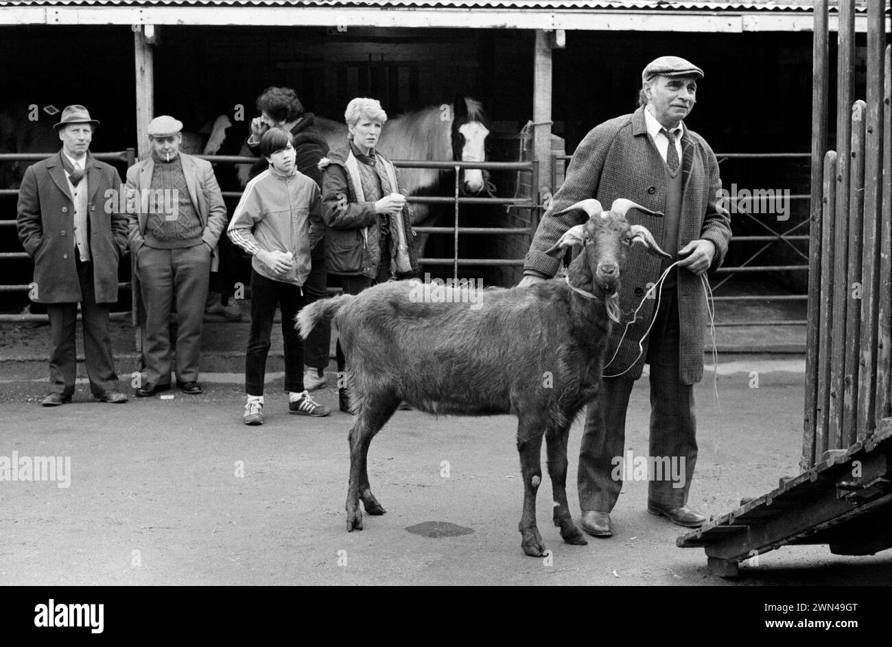 Mercato settimanale dei cavalli del 1980 a Londra Southall. Venivano spesso venduti altri capi di bestiame. Alf Chambers con una capra in vendita. Ealing, West London Inghilterra 1983 HOMER SYKES Foto Stock