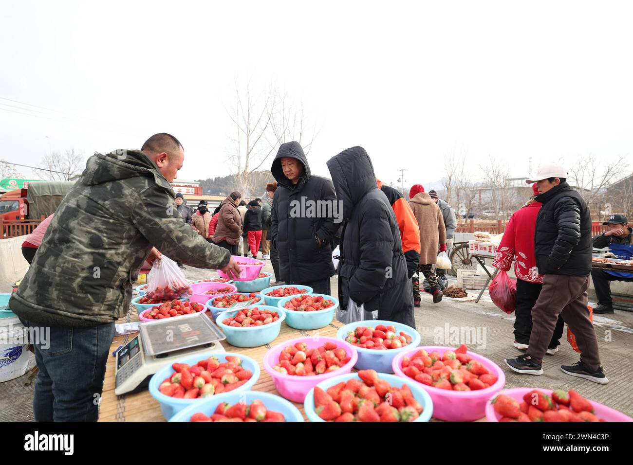 (240229) -- TIANJIN, 29 febbraio 2024 (Xinhua) -- Un agricoltore del distretto di Pinggu di Pechino vende fragole in un mercato nella città di Xiaying, Tianjin, nella Cina settentrionale, 23 febbraio 2024. Prima del Festival di Primavera di quest'anno, tre villaggi, tra cui il villaggio di Qian'ganjian di Tianjin, il villaggio di Qian'ganjian della provincia di Hebei e il villaggio di Hongshimen di Pechino, tutti situati in un'area di confine tra Tianjin, Hebei e Pechino, ha firmato un accordo per sviluppare congiuntamente il turismo nella zona e proteggere meglio l'antica grande Muraglia. Come uno dei tre villaggi, il villaggio di Qian'ganjian di Tianjin ne ha visti molti Foto Stock