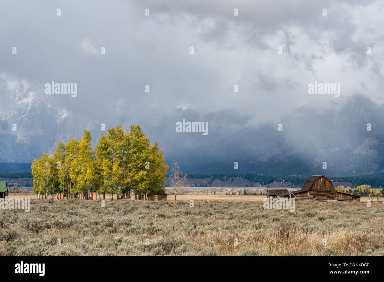 Antelope Flats e Mormon Row con la catena dei Teton sullo sfondo del Grand Teton National Park in autunno nel Wyoming. Foto Stock