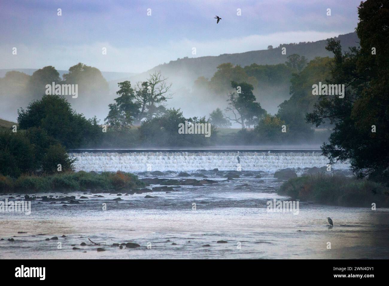 02/10/16 dopo una notte fredda, questa mattina sorge un'alba nebbiosa sul fiume Derwent nella Chatsworth Estate nel Derbyshire Peak District. Tutti Foto Stock