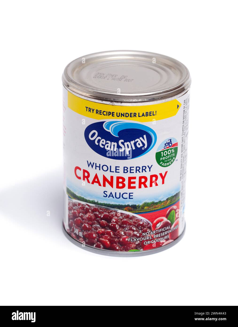 Toronto, Canada - 18 febbraio 2024: Ocean Spray Whole Berry Cranberry Sauce CAN su sfondo bianco Foto Stock