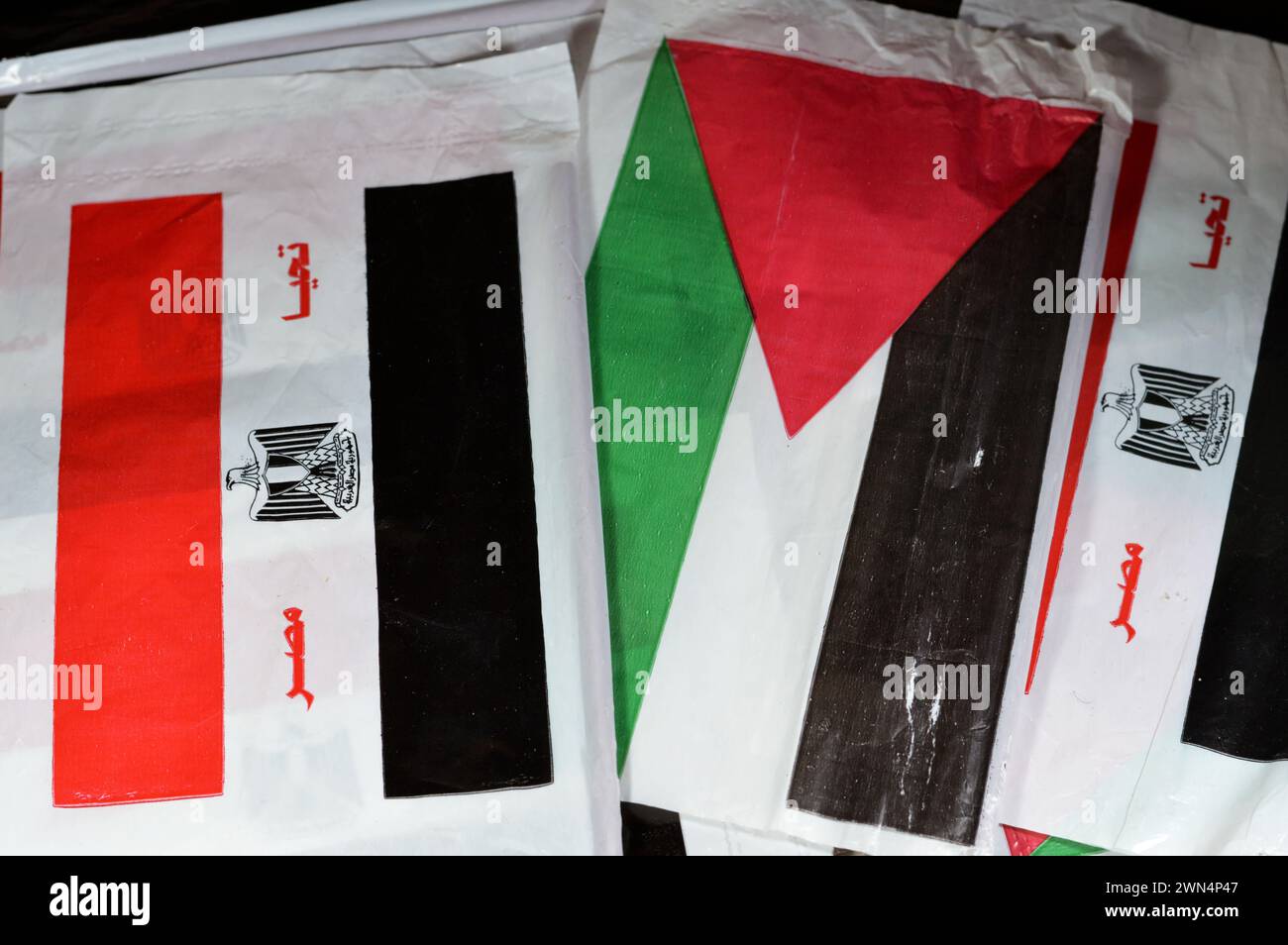 La bandiera egiziana e palestinese, traduzione dell'arabo (lunga vita all'Egitto), bandiera della Palestina e dell'Egitto, l'amicizia tra i paesi arabi con Foto Stock