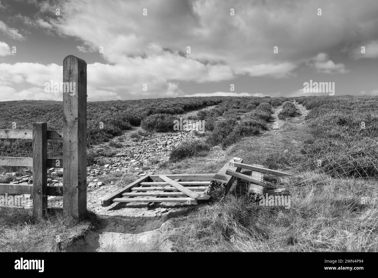Cancello e recinzione rotti che conducono alla brughiera di heather sotto il cielo luminoso con nuvole in una bella mattinata senza persone vicino a Goathland, Yorkshire, Regno Unito. Foto Stock