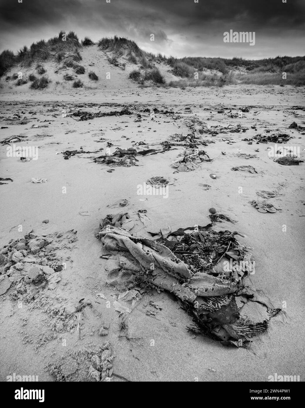 sabbia sulla spiaggia, copertura di stracci con dune sullo sfondo, cielo scuro Foto Stock