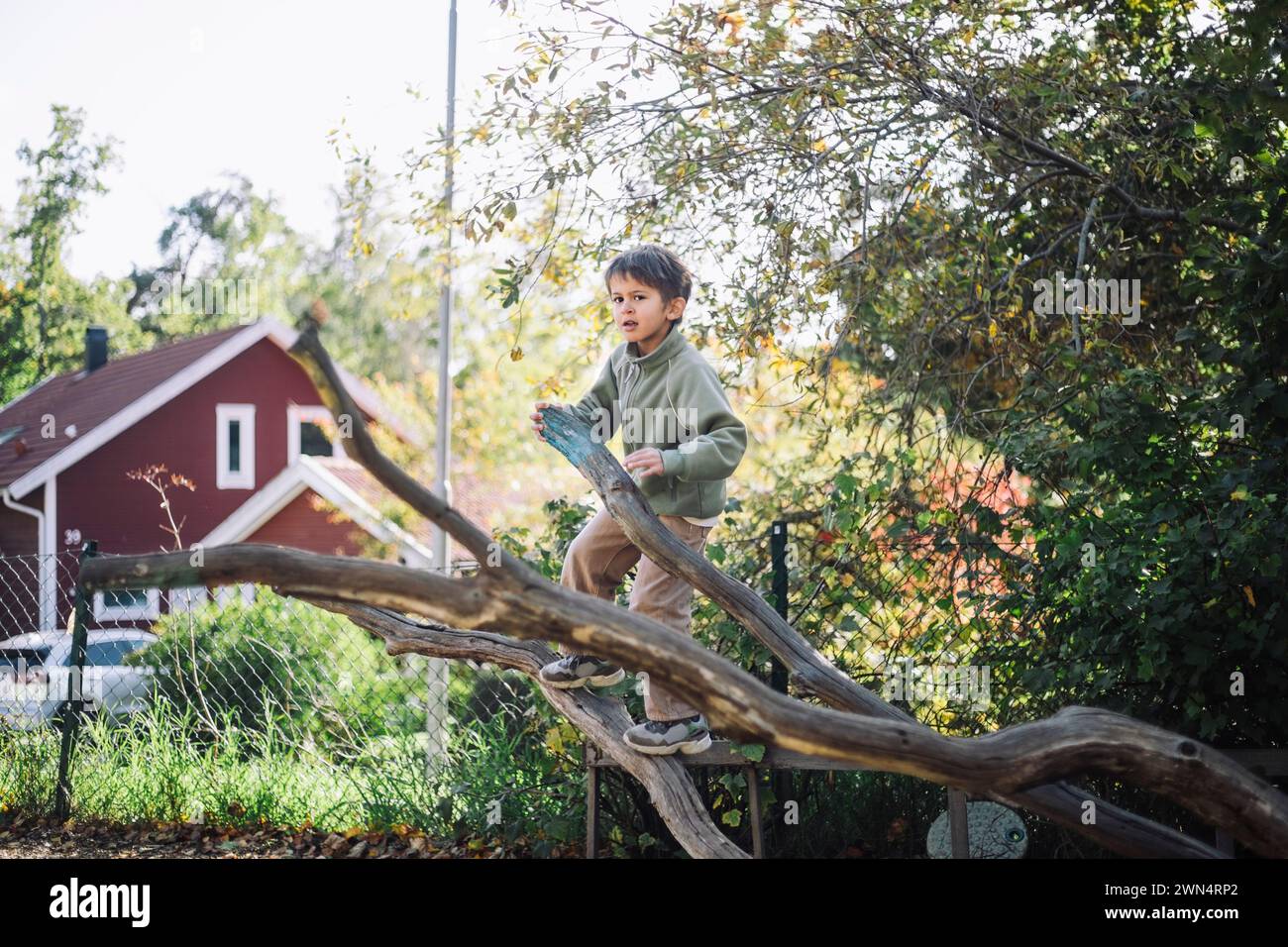 Ragazzo spensierato che sale sul ramo d'albero del parco Foto Stock
