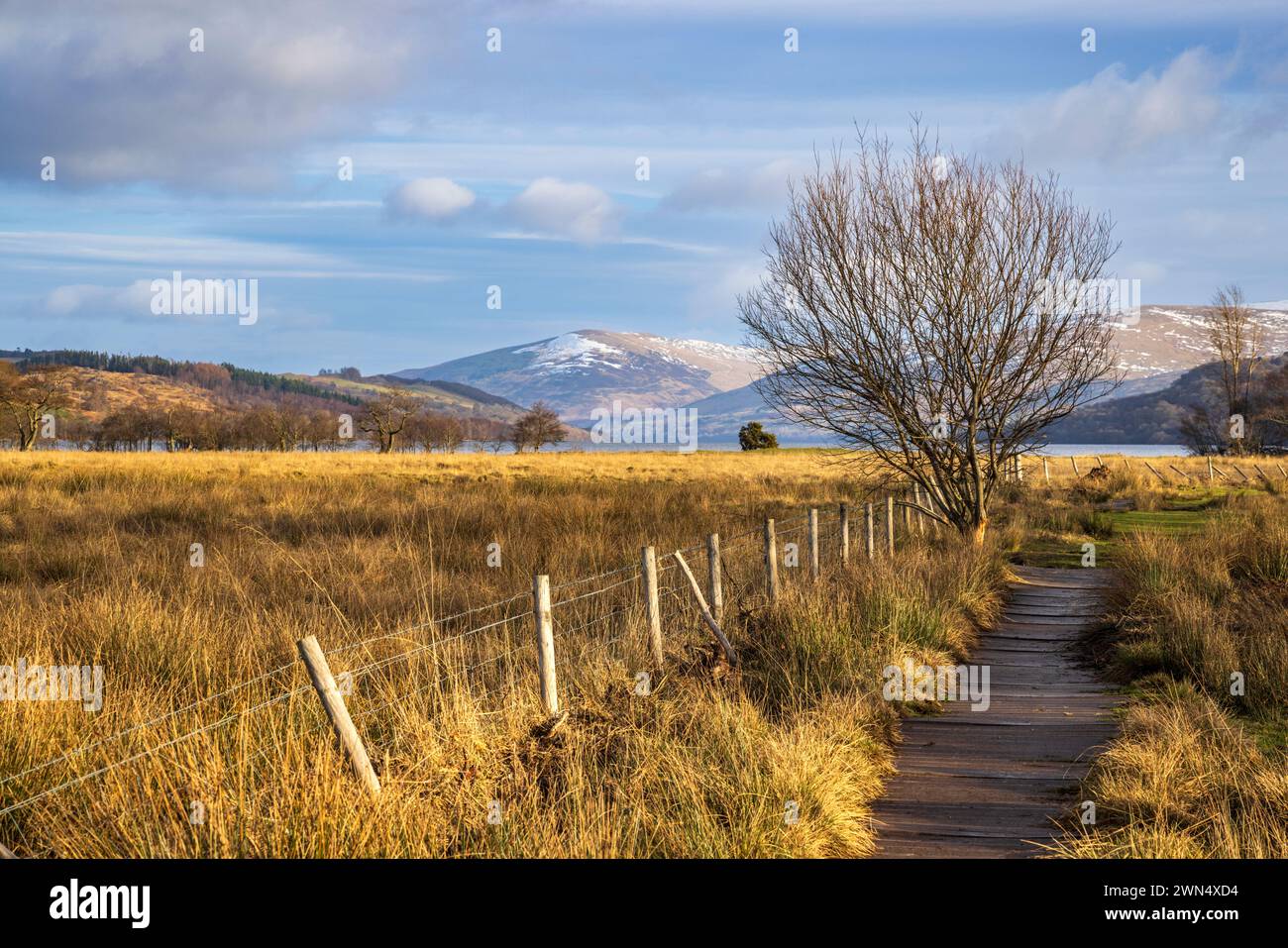 Lungo la passerella verso la parte occidentale di Loch Tay vicino a Killin, Trossachs, Stirling, Scozia Foto Stock