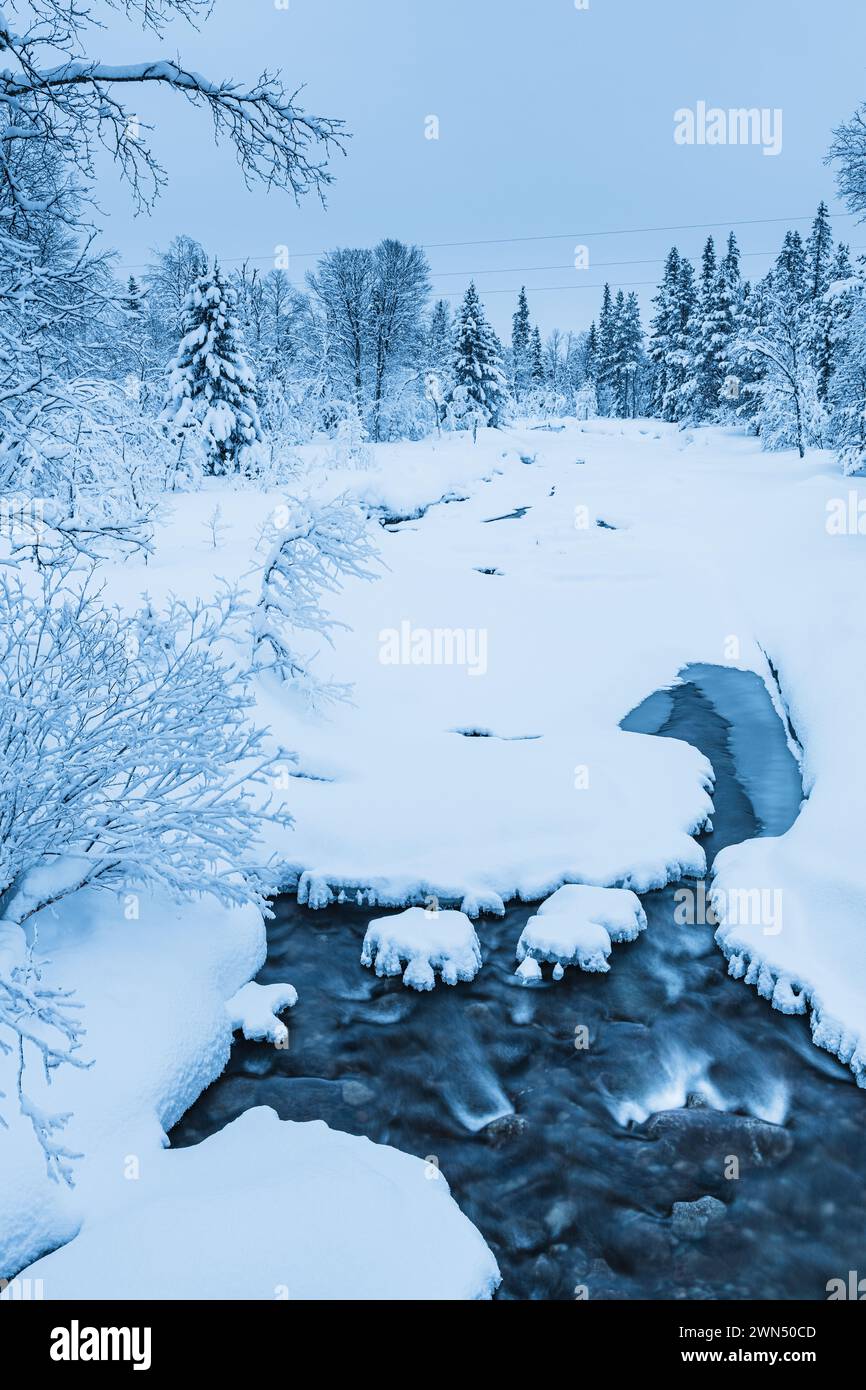Un torrente si snoda attraverso un paesaggio invernale ricoperto di neve, circondato da torreggianti alberi e macchie di terreno ghiacciato. La scena cattura il tranqui Foto Stock