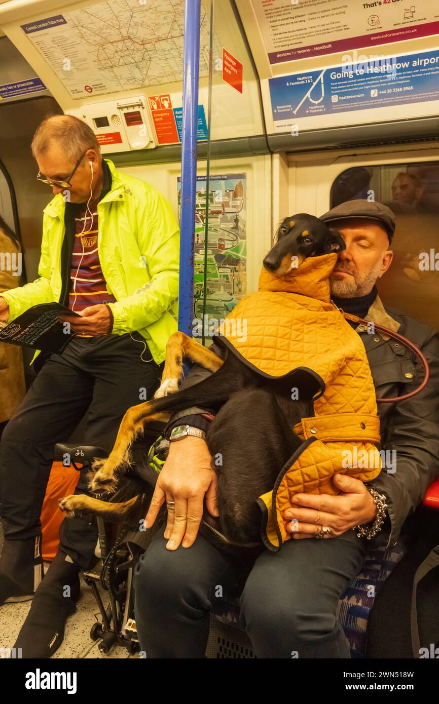 Inghilterra, Londra, metropolitana di Londra, passeggero con cane sul treno sotterraneo Foto Stock
