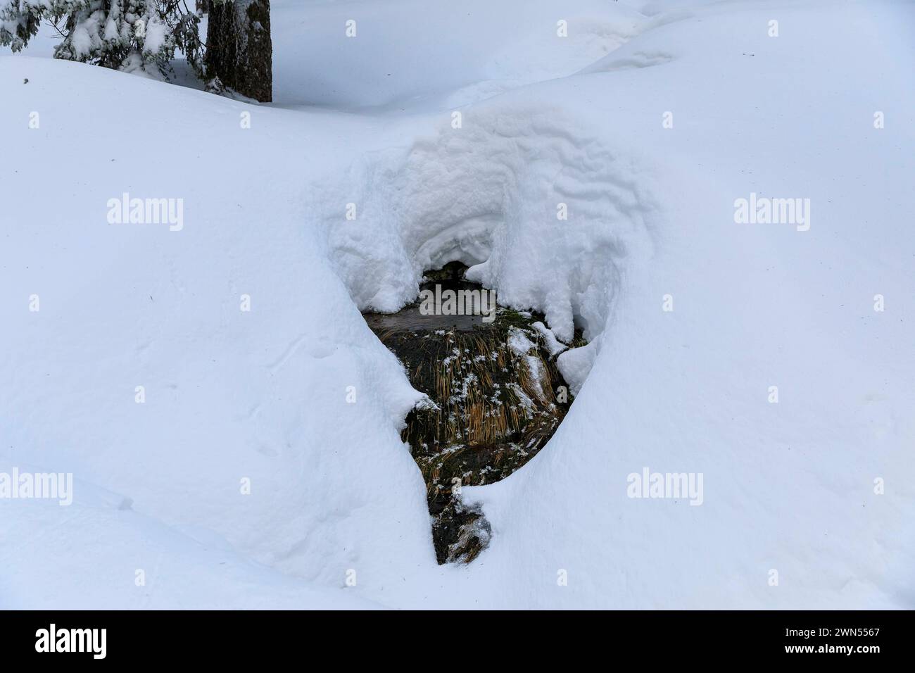 unter hohen Schneebergen nahe der Wossecker Baude plätschert das Wasser der Mummel talabwärts nach Harrachsdorf im Riesengebirge, Tschechien **** il W Foto Stock