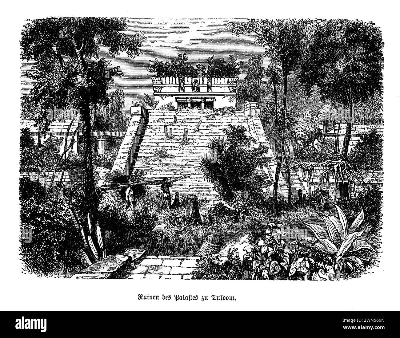 Arroccata sulla cima di una scogliera che si affaccia sulle acque turchesi del Mar dei Caraibi, la piramide El Castillo a Tulum, Messico, è una testimonianza dell'ingegno e dell'arte della civiltà Maya. Questa antica struttura funge da faro del patrimonio maya, essendo un punto di riferimento fondamentale all'interno del sito archeologico di Tulum. Noto per il suo preciso allineamento astronomico, El Castillo è avvolto nel mistero, offrendo uno sguardo alla complessa comprensione del cosmo da parte dei Maya. La sua iconica silhouette sullo sfondo del mare crea un'affascinante fusione di bellezza naturale e grandezza storica. Foto Stock