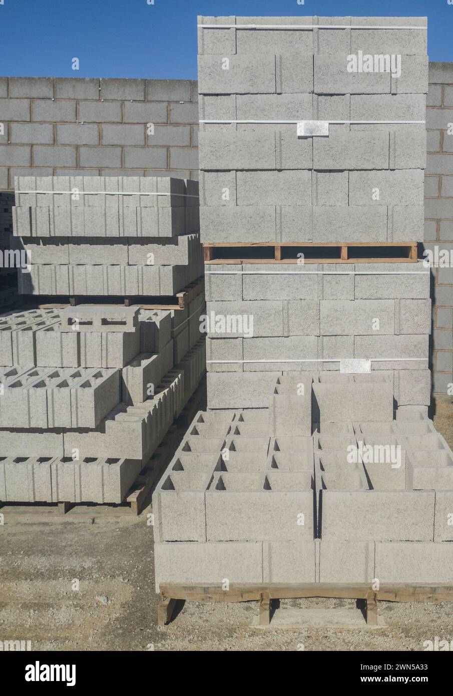 Blocchi cavi in calcestruzzo di dimensioni normali per intonacatura. Imballato su pallet di legno Foto Stock