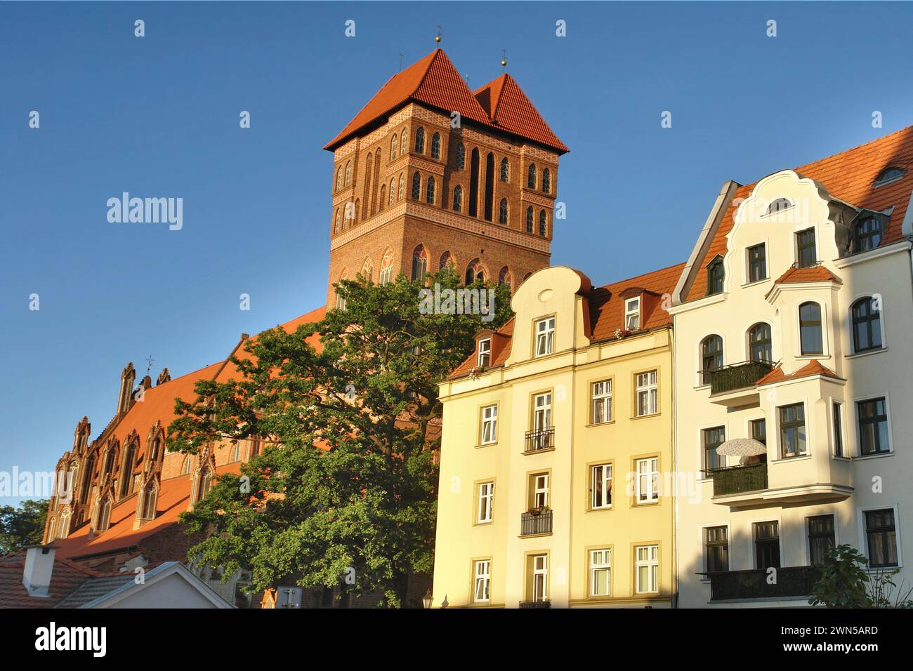 Chiesa dei Santi Apostoli Giacomo e Filippo a Toruń, Polonia Foto Stock
