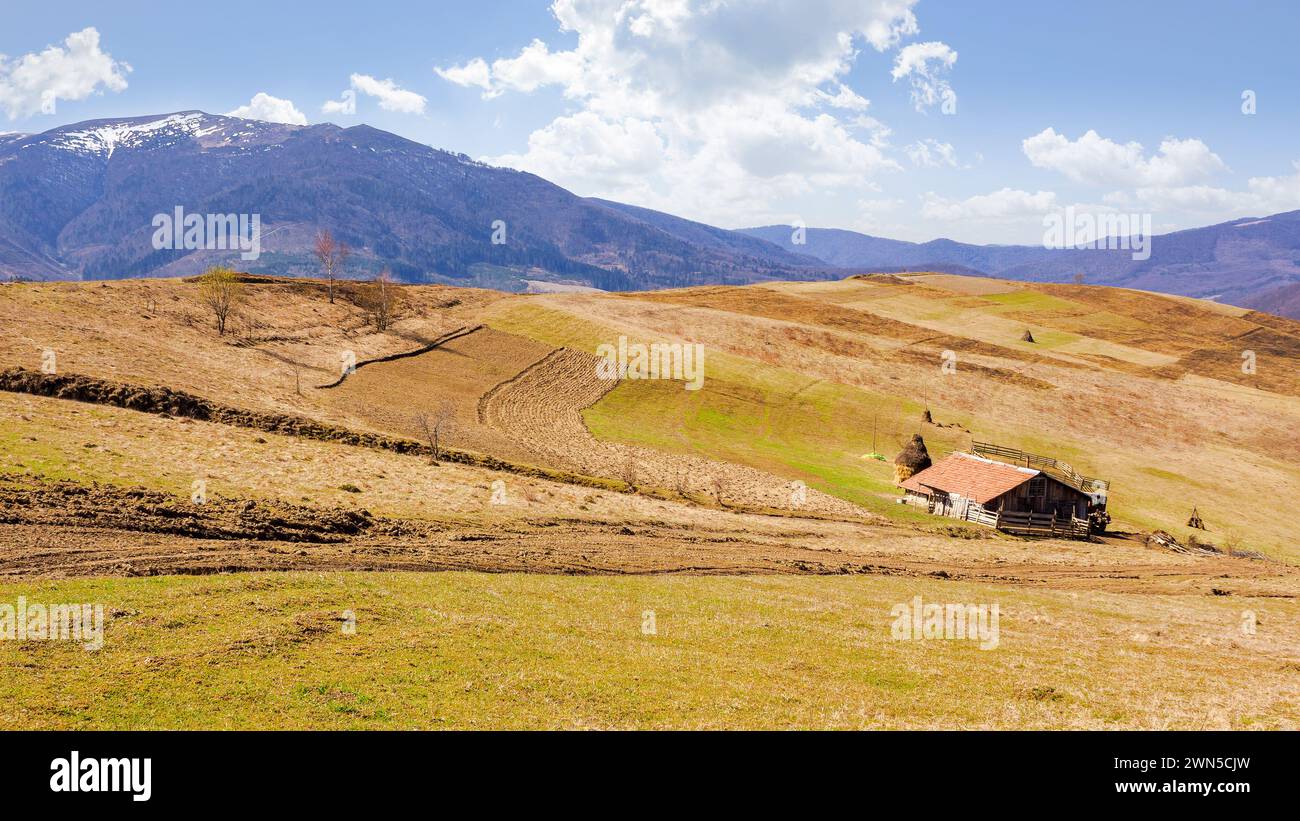 paesaggio della campagna dei carpazi all'inizio della primavera. paesaggio rurale montagnoso con colline ondulate ricoperte di erba intemprata. caldo giorno di sole Foto Stock