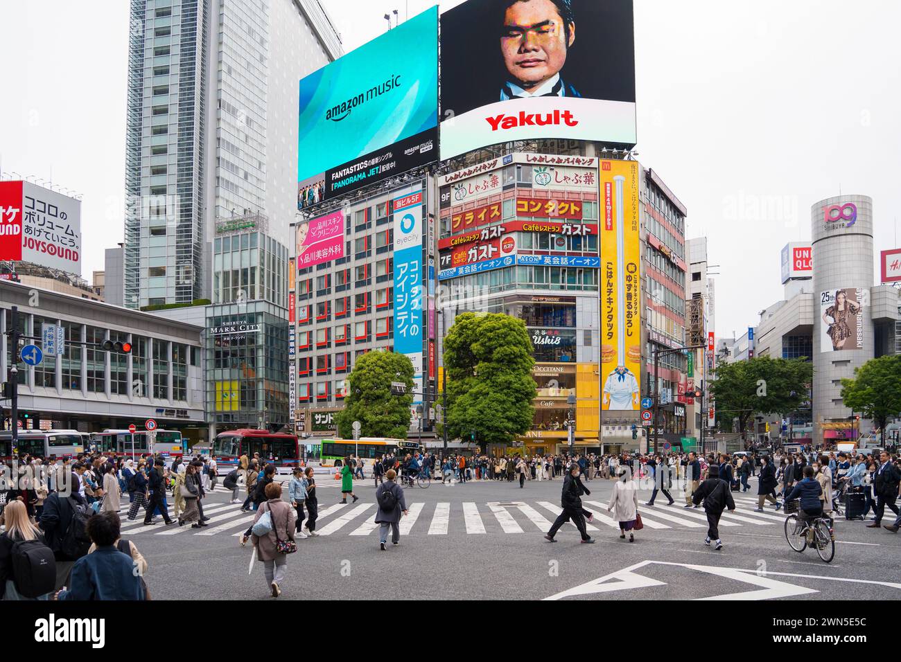 Cartelloni pubblicitari digitali e pedoni che utilizzano lo Shibuya Scramble Crossing, l'intersezione pedonale trafficata a Shibuya nella capitale Tokyo, Giappone Foto Stock