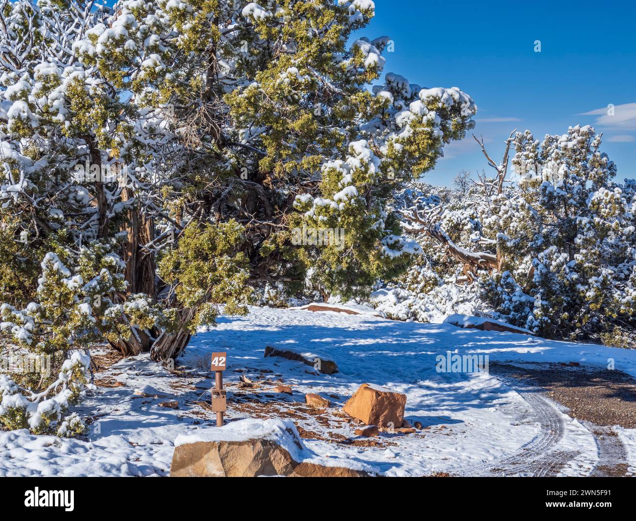 Saddlehorn Campground dopo una tempesta di neve, Colorado National Monument, Fruita, Colorado. Foto Stock