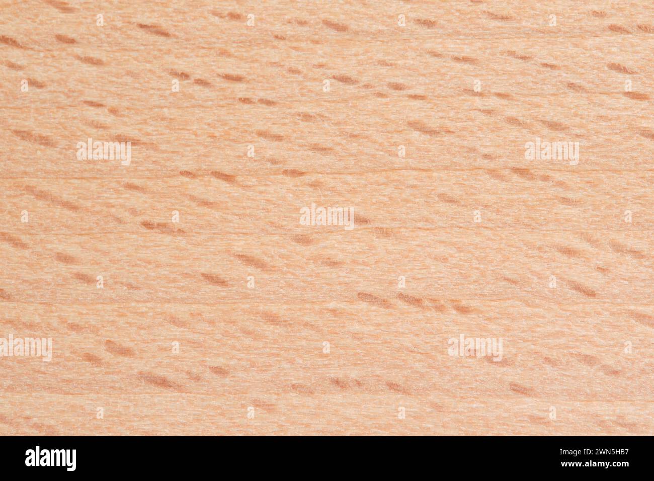 Sfondo caldo in legno di faggio. Evoca un'atmosfera intima con il suo fascino naturale e rustico Foto Stock
