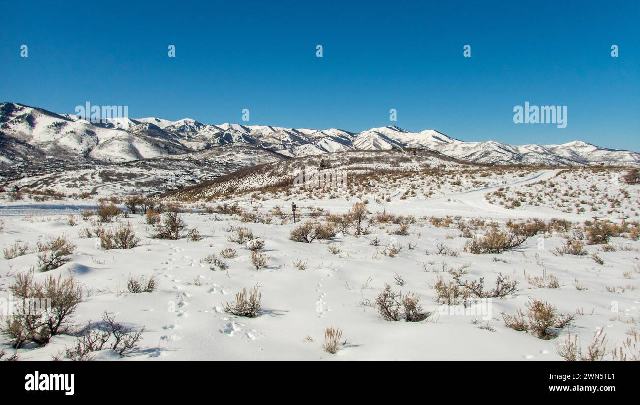 Ambientazione invernale nell'alto deserto con pennello e neve a Round Valley vicino a Park City, Utah, Stati Uniti. Foto Stock