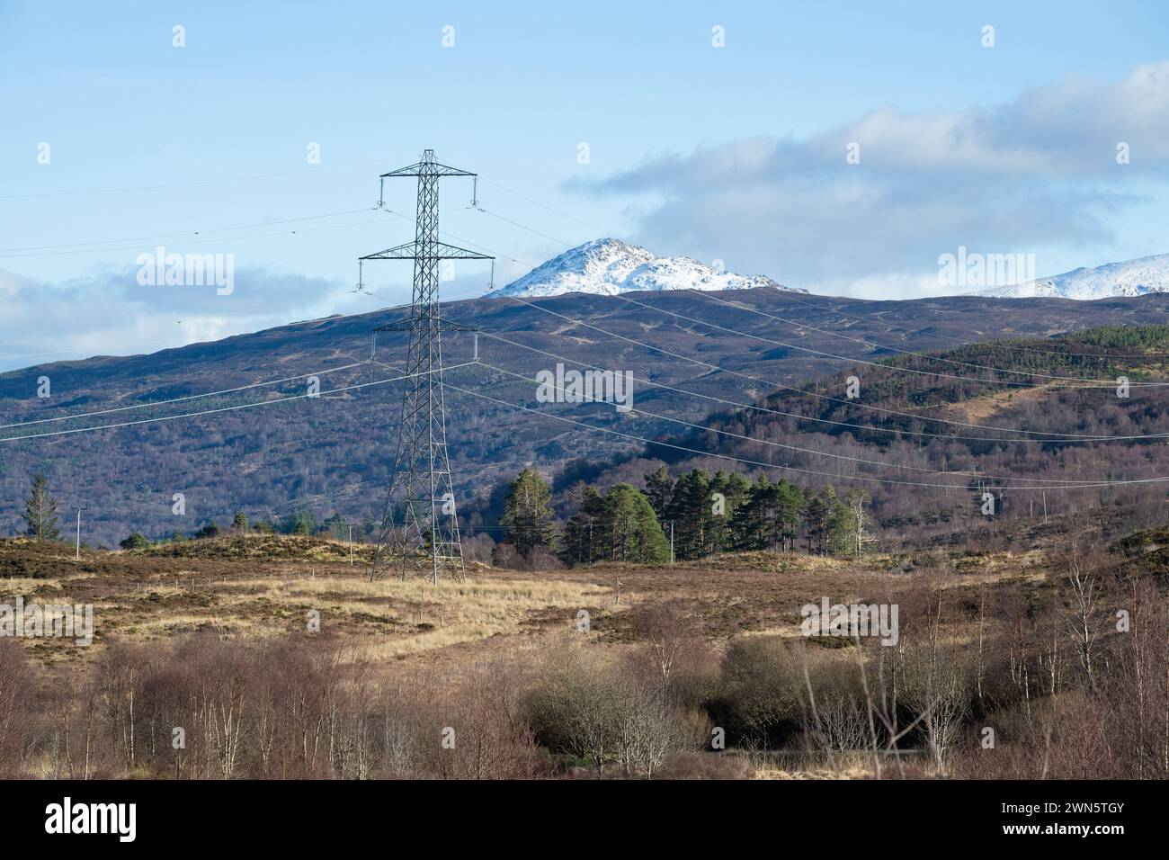Tralicci e cavi elettrici che rovinano la vista di Ben Venue dal Great Trossachs Path, Loch Lomond e il Trossachs National Park, Scozia, Regno Unito Foto Stock