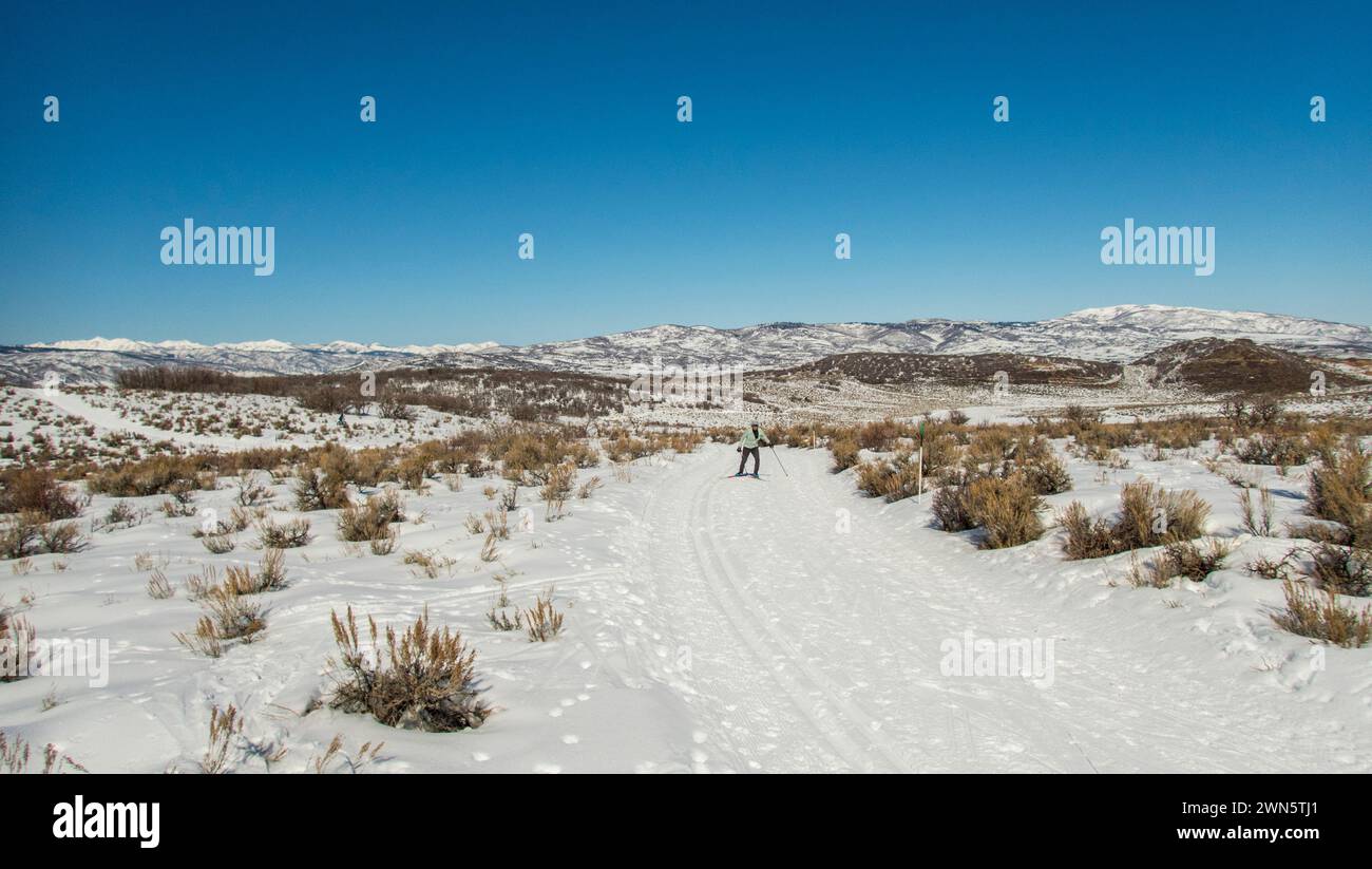 Ambientazione invernale con gente che pratica sci di fondo nell'alto deserto con pennello e neve a Round Valley vicino a Park City, Utah, Stati Uniti. Foto Stock