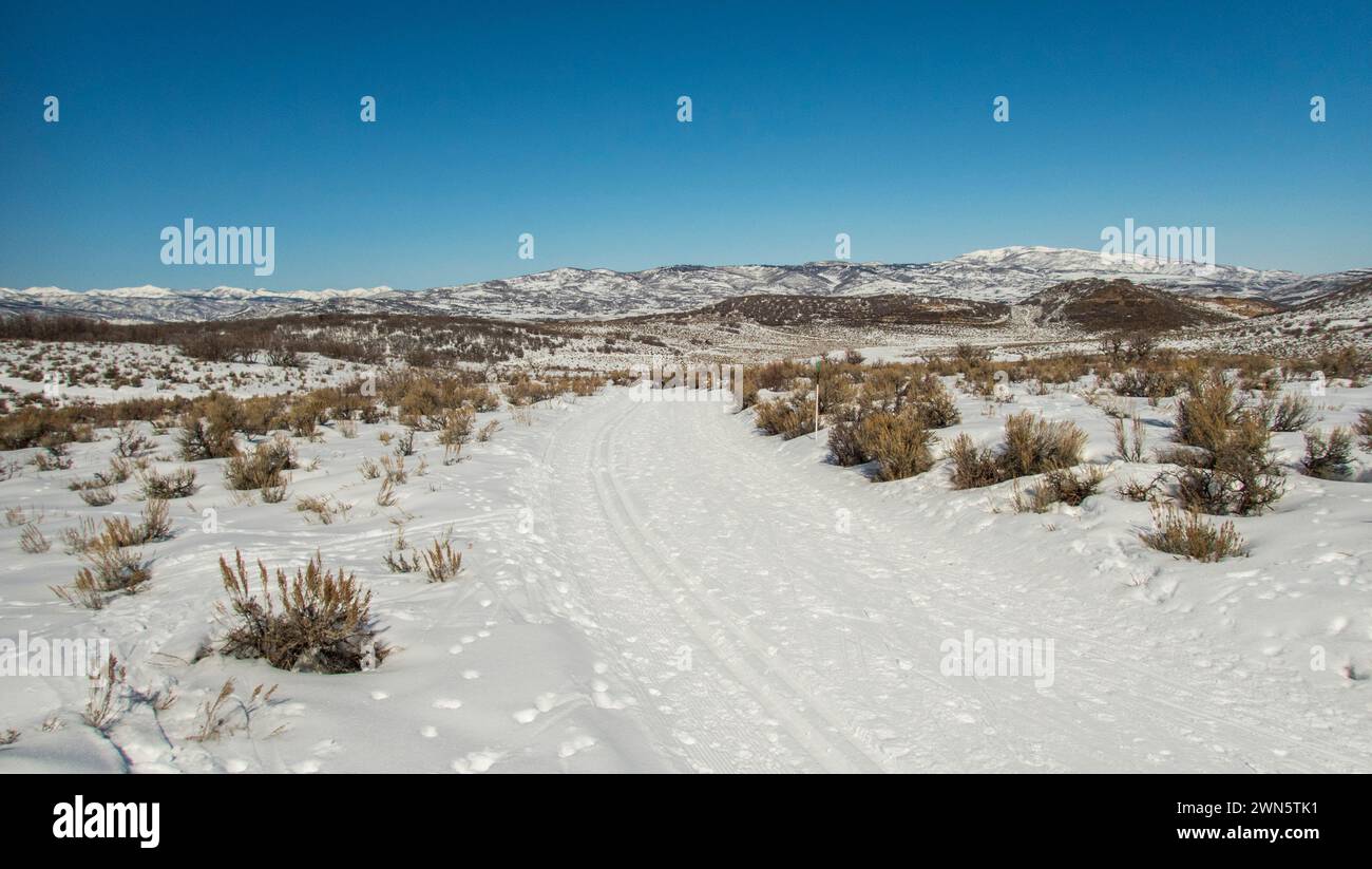 Ambientazione invernale nell'alto deserto con pennello e neve a Round Valley vicino a Park City, Utah, Stati Uniti. Foto Stock