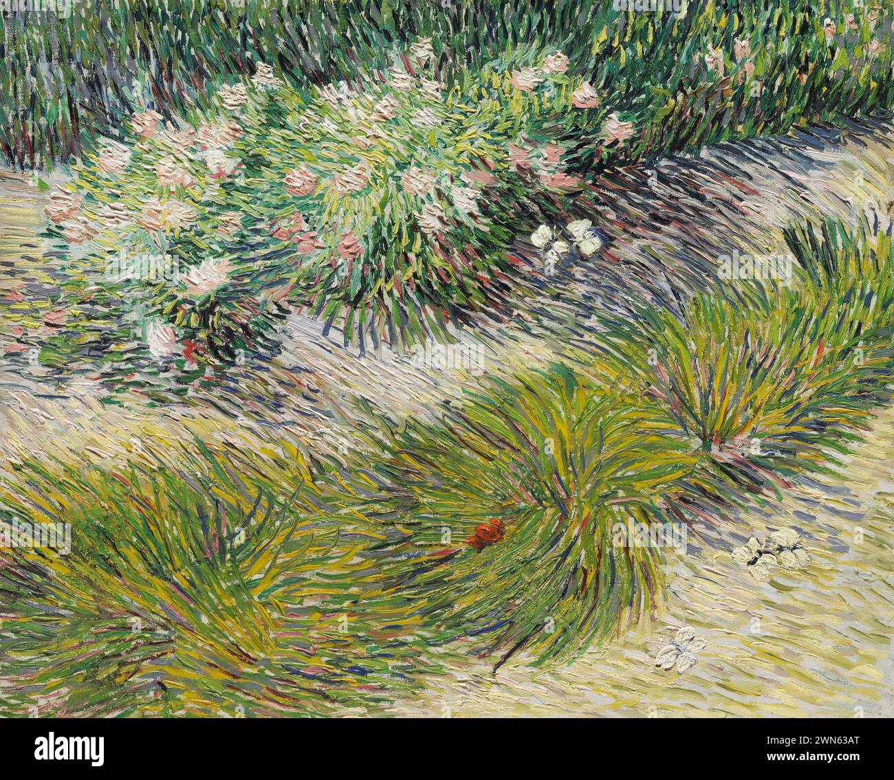 Van Gogh Vincent - erba e farfalle (1887) Foto Stock