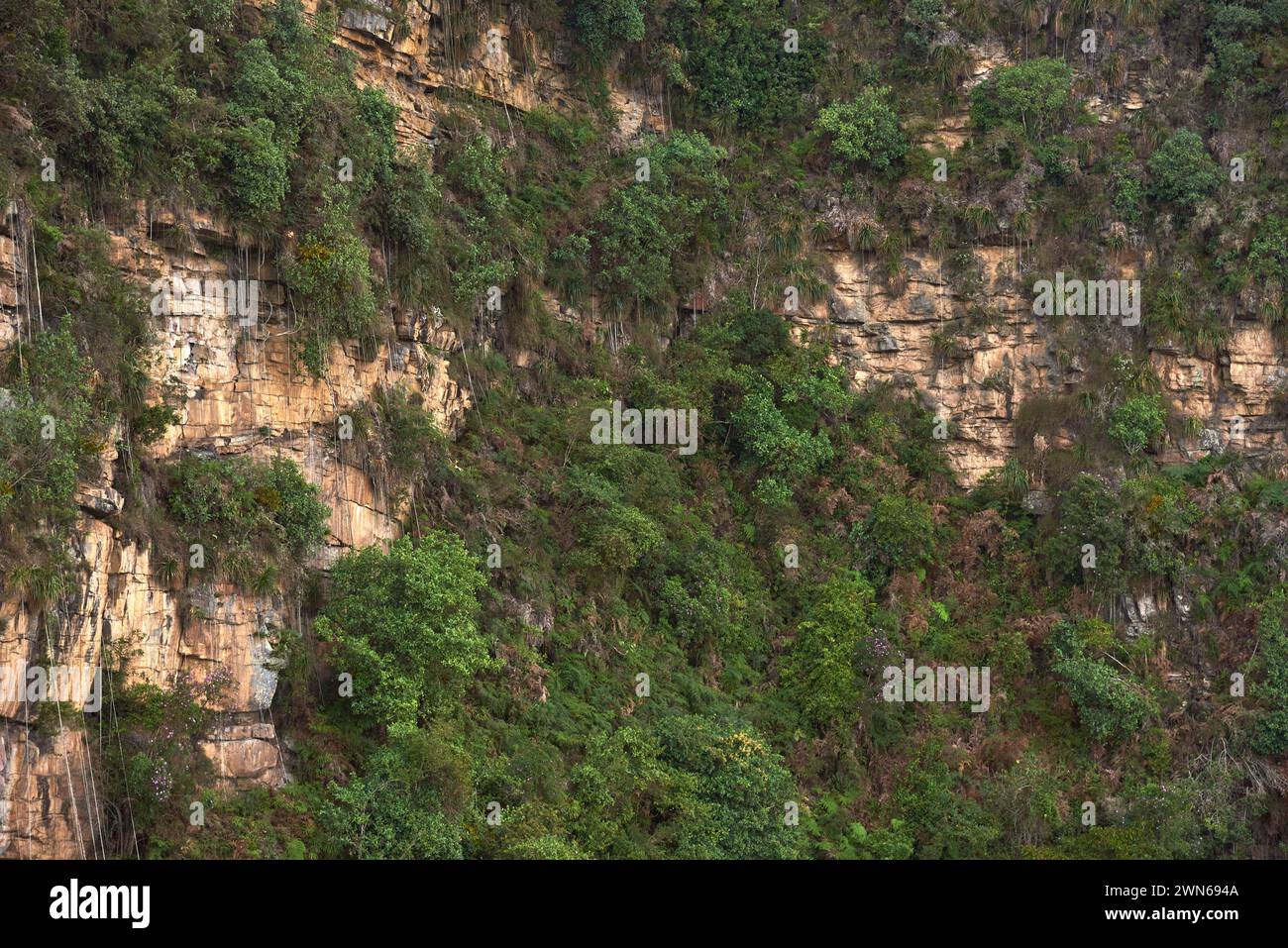 Parete di montagna con vegetazione vista dal fronte, in una prospettiva insolita, da un parapendio volante, a Santander, Colombia Foto Stock