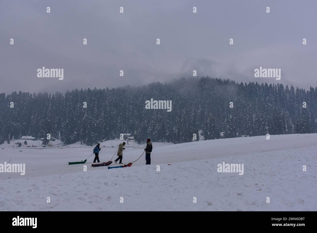 Gulmarg, Kashmir, India. 29 febbraio 2024. Gli uomini kashmiri con slitte camminano lungo il campo innevato della stazione sciistica di Gulmarg, a circa 55 km da Srinagar, la capitale estiva di Jammu e Kashmir. (Immagine di credito: © Saqib Majeed/SOPA Images via ZUMA Press Wire) SOLO PER USO EDITORIALE! Non per USO commerciale! Foto Stock