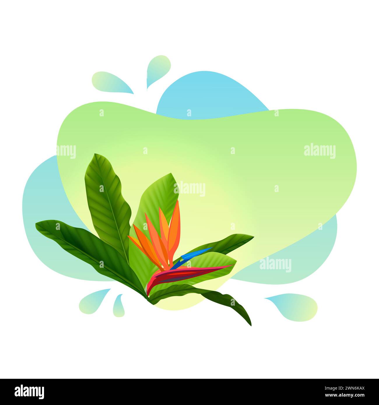 design estivo con foglie di palma esotiche, fiori di ibisco e spazio per il testo. Modello di offerta di vendita, banner di sfondo del volantino. Sfondo tropicale. Foto Stock