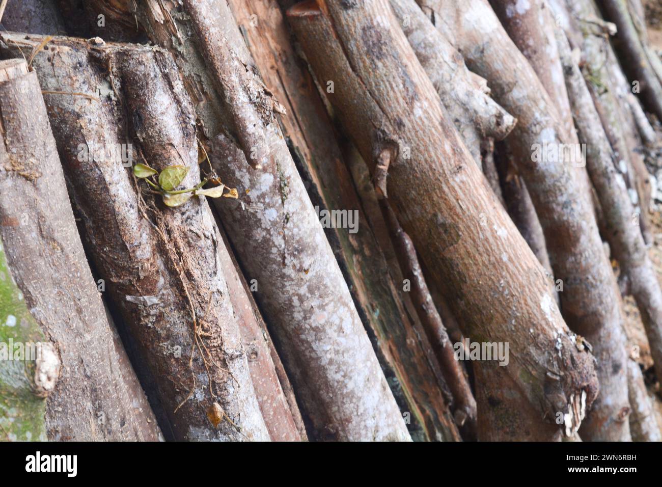 Pianura con il concetto di forme astratte con piccoli oggetti di roccia, adatti allo sfondo Foto Stock