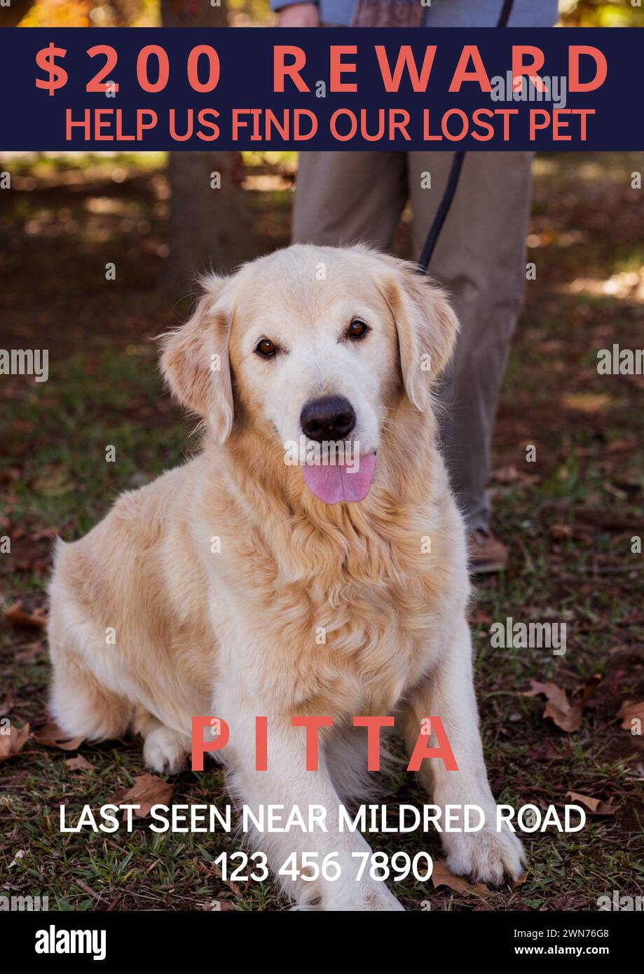 Composizione di aiutaci a trovare il nostro testo di pitta per animali smarrito su cane e proprietario nel parco Foto Stock