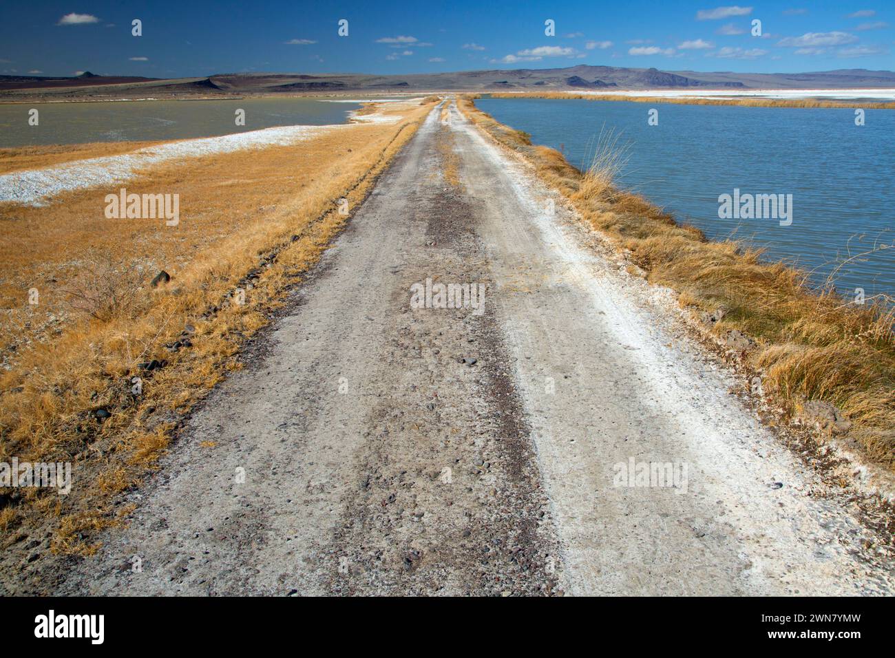 Tour Road, Summer Lake Wildlife area, Oregon Outback Scenic Byway, Oregon Foto Stock