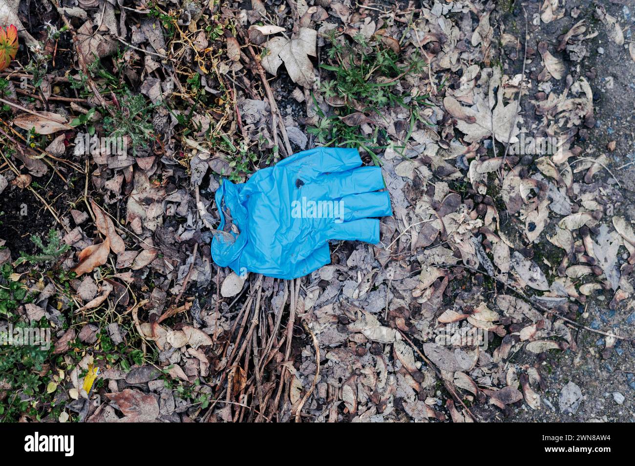 Crisi ambientale e inquinamento da plastica nelle zone agricole Foto Stock