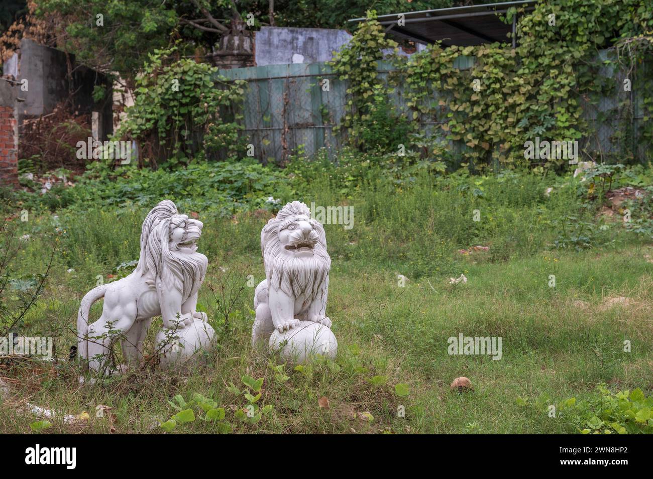 Statue di due leoni guardiani cinesi, o leoni guardiani imperiali. Le statue si trovano in un campo selvaggio e abbandonato. Foto Stock