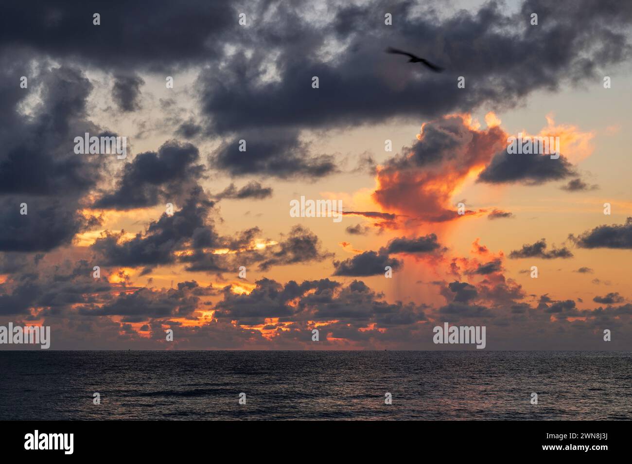 Una vista dell'alba sull'oceano al largo di Miami Beach, nel sud della Florida. Le nuvole tropicali riempiono il cielo, e un piccolo temporale può essere visto all'orizzonte. Foto Stock