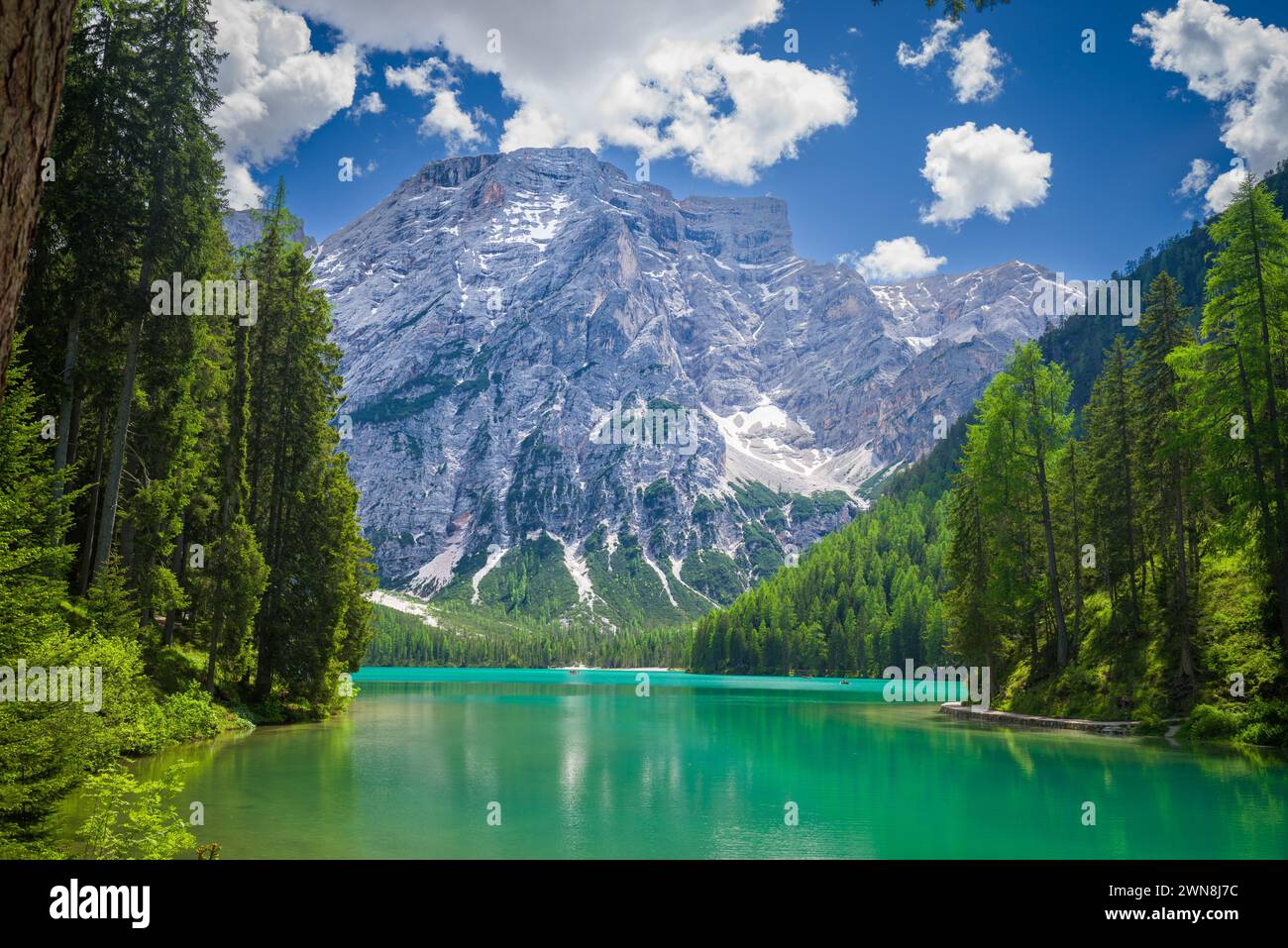 Pragser Wildsee (Lago di Braies) nelle Dolomiti, Italia. Vista sul lago, circondato da conifere con un massiccio montuoso sullo sfondo Foto Stock