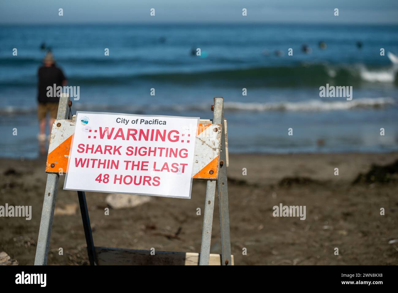 Un segnale di avvertimento degli squali sulla spiaggia Foto Stock