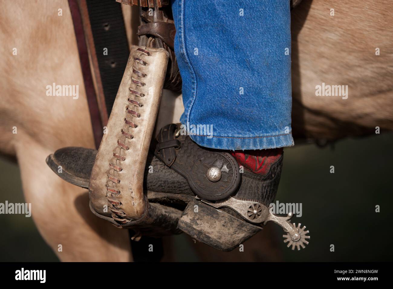 Primo piano di stivali da cowboy, spronati in una staffa Foto Stock