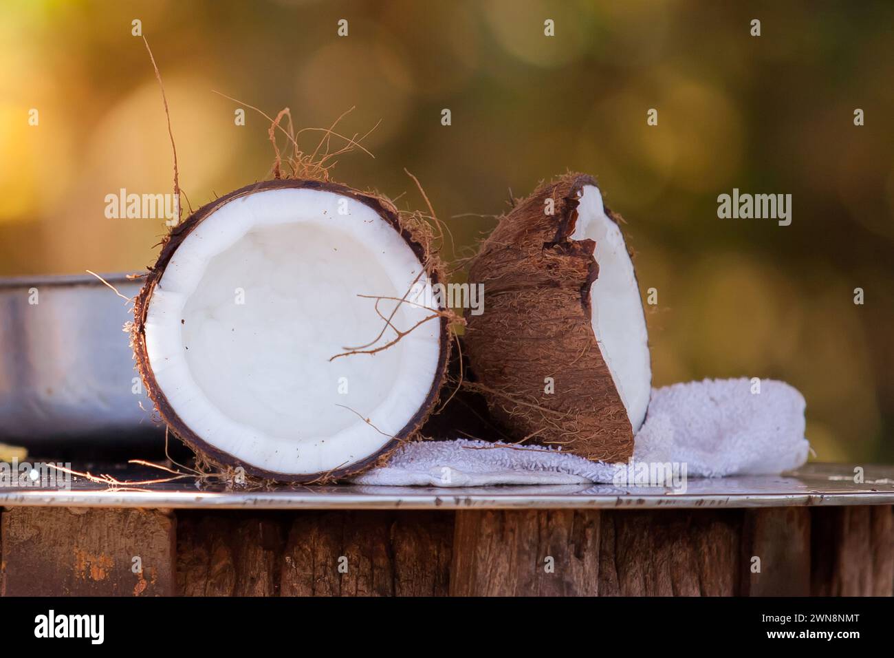 Fresco cocco hawaiano tagliato a vista mostrando la frutta Foto Stock