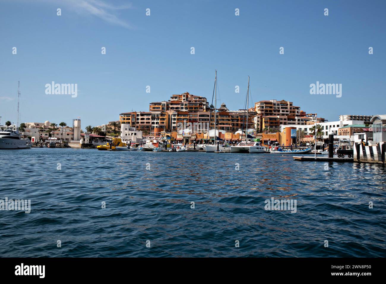 Ci sono molti yacht di lusso nel porticciolo di Cabo San Lucas Foto Stock