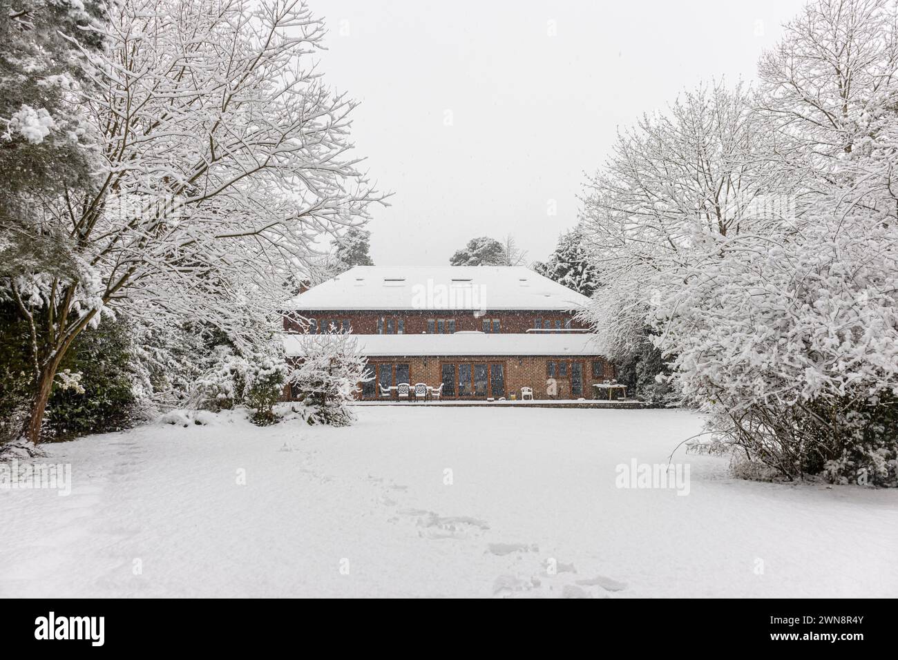 Un giardino sul retro periferico e alberi senza foglie ricoperti di neve durante una forte nevicata invernale, Woking, Surrey, Inghilterra sud-orientale, Regno Unito Foto Stock