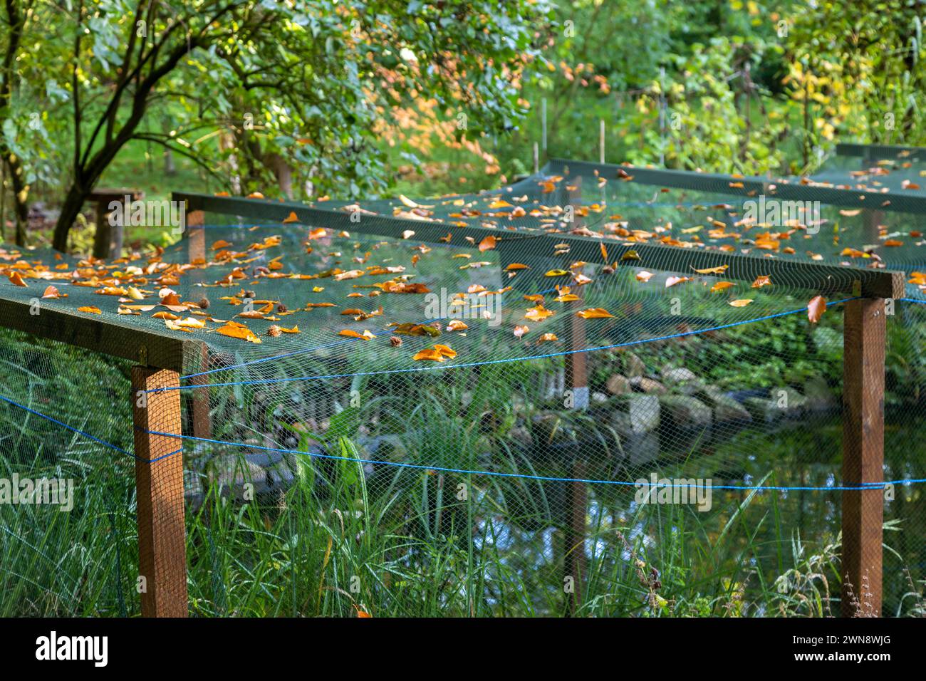 Netz über einen Teich gespannt. Schutz vor Vögeln und Laub Foto Stock