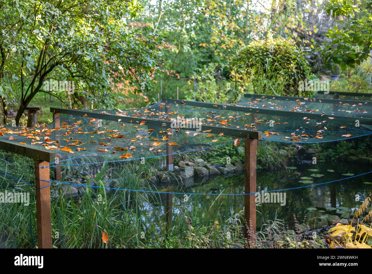 Netz über einen Teich gespannt. Schutz vor Vögeln und Laub Foto Stock
