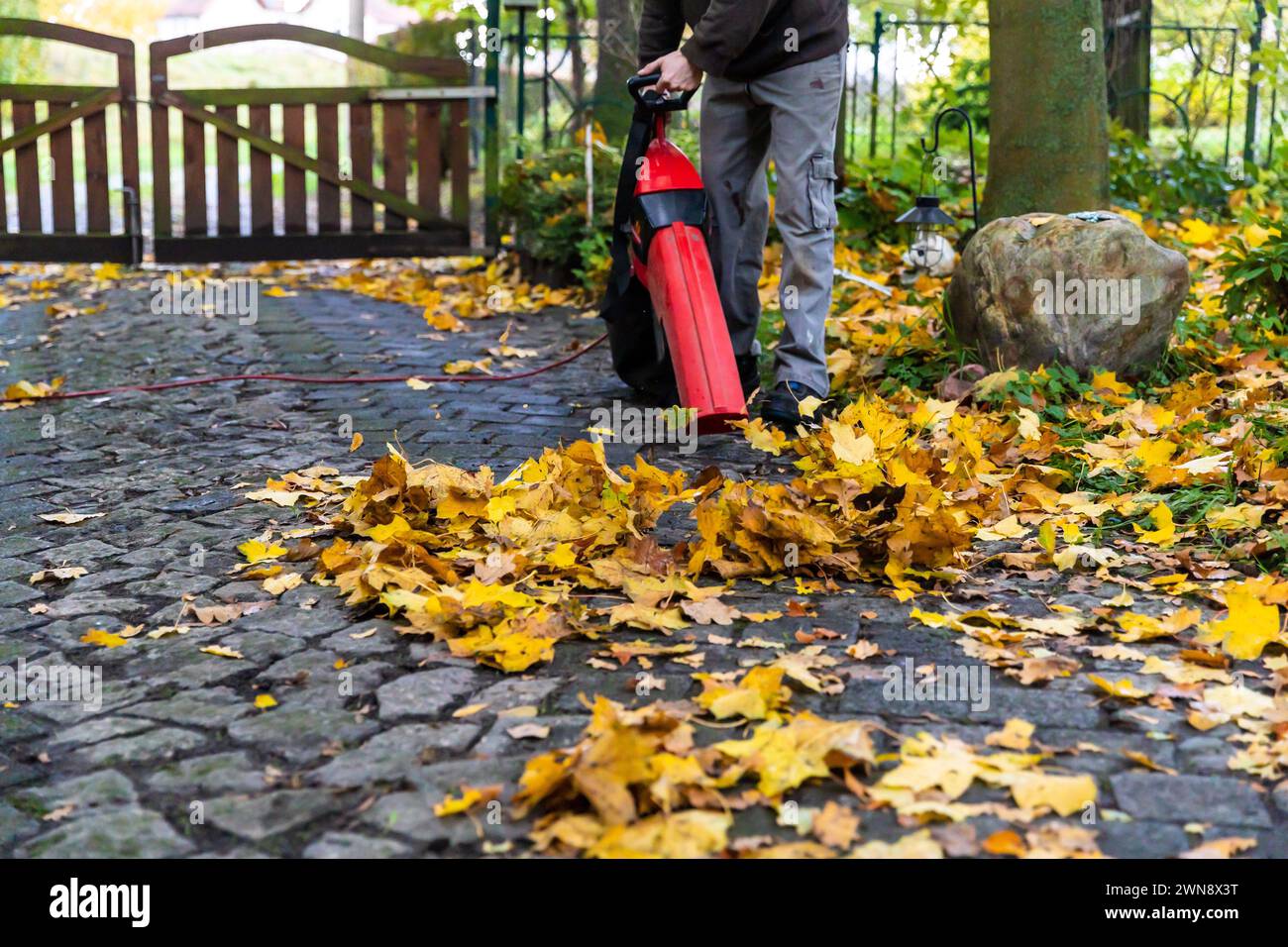 Einfahrt im Herbst mit Laubbläser sauber halten Foto Stock