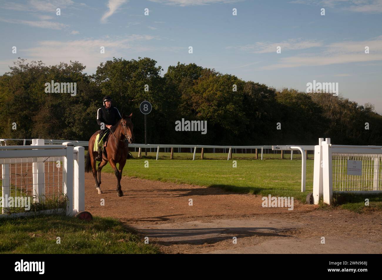 ippodromo di epsom a cavallo e fantino, epsom scende nel surrey, inghilterra Foto Stock