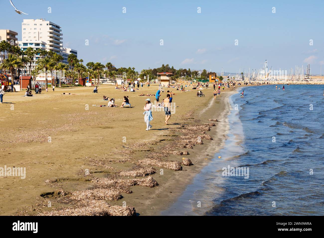 Spiaggia invernale a Finikoudes, Larnaca, Cipro. Febbraio 2024. Pochissime persone sulla spiaggia. Foto Stock