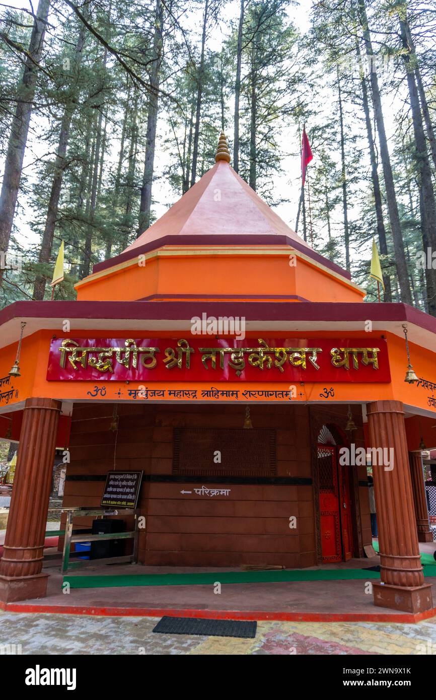 14 feb.th2024, Uttarakhand India. Tempio Tarkeshwar Mahadev: Santuario Shiva Sacro di Lansdowne tra le foreste Deodar, Uttarakhand, India Foto Stock