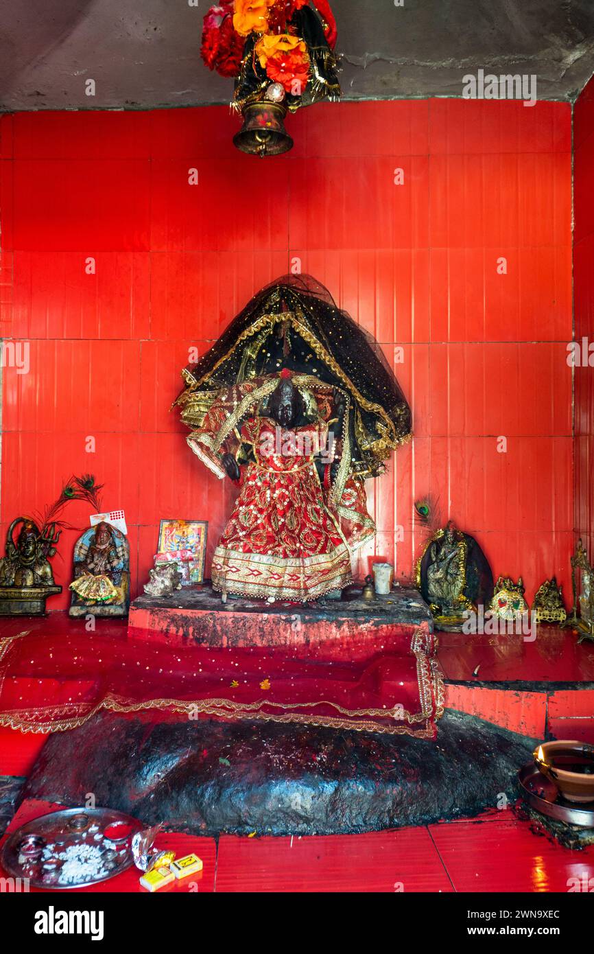 14 feb.th2024, Uttarakhand India. Scultura della dea decorata Kali: Tempio Jwalpa devi Santuario indù Foto Stock