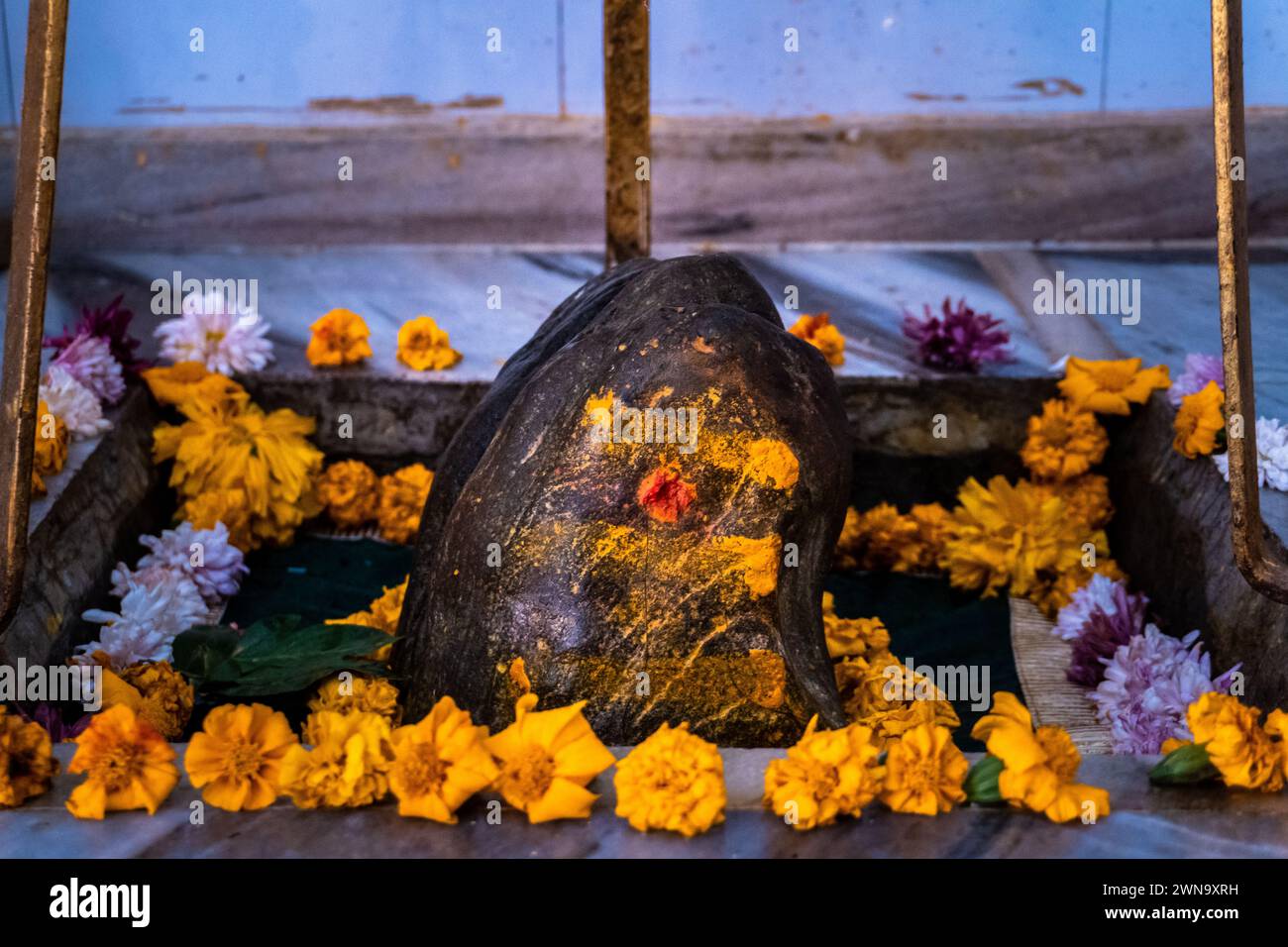 Shiva Shila Sacra primo piano al Tempio Ekeshwar Mahadev, Pauri Garhwal, Uttarakhand, India - Cultura e religione indù Foto Stock